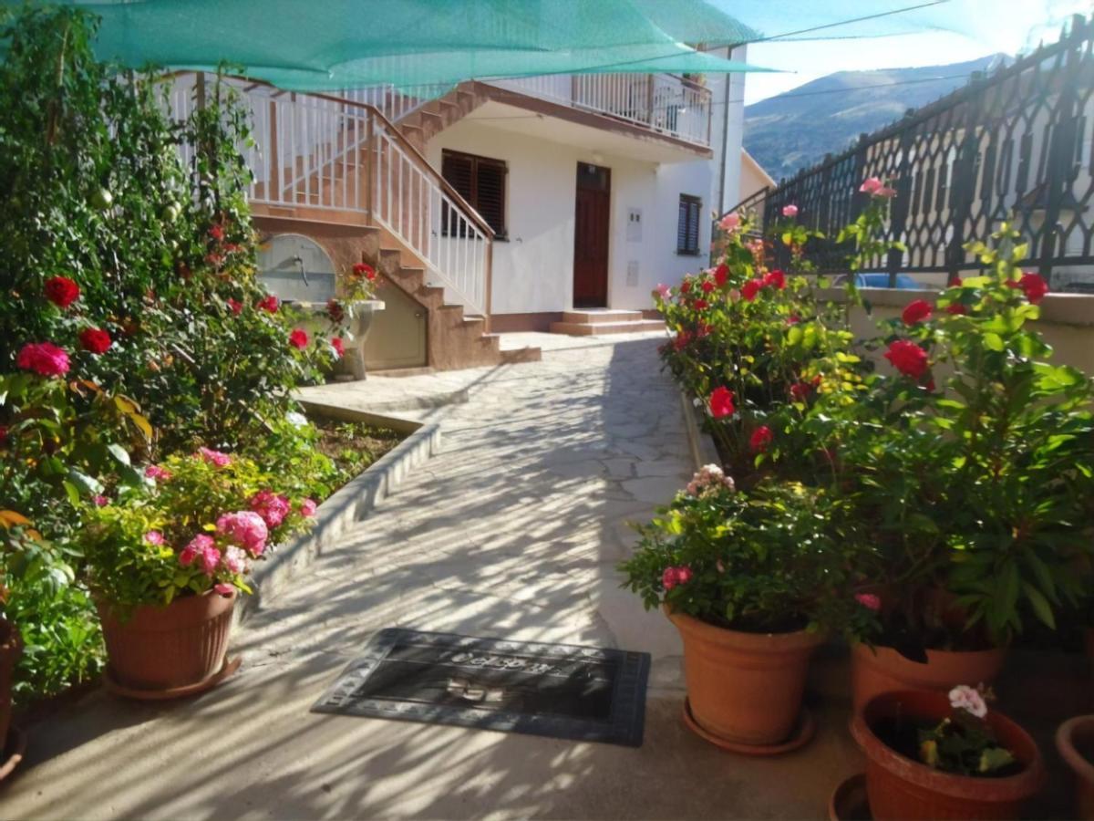 Cheap House Near The Center Of The City Mostar Exterior foto